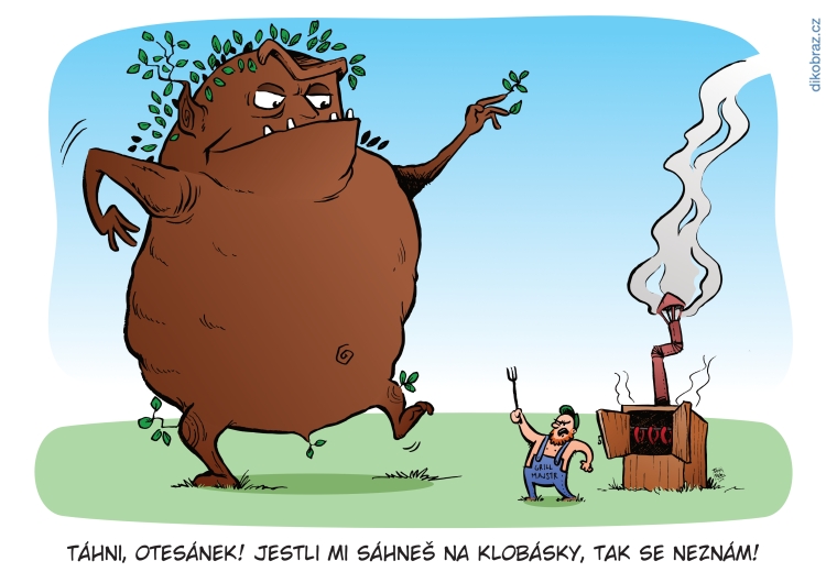 Tom Pekárek vtipy č.13288 - 
