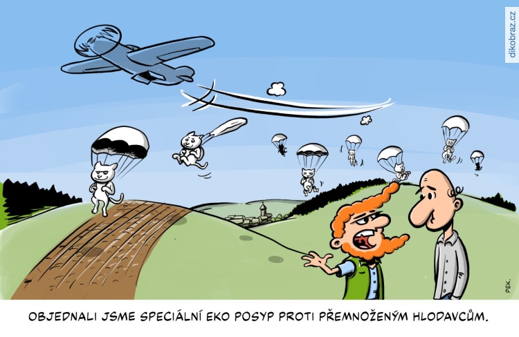 Tom Pekárek vtipy č.29647 -