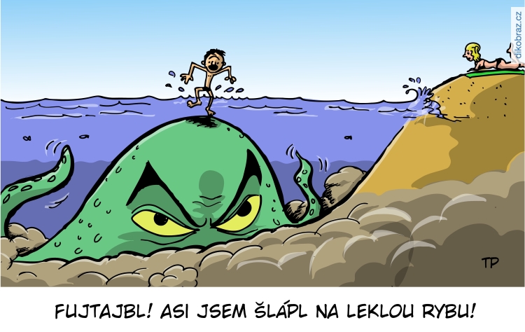 Tom Pekárek vtipy č.7257 - 