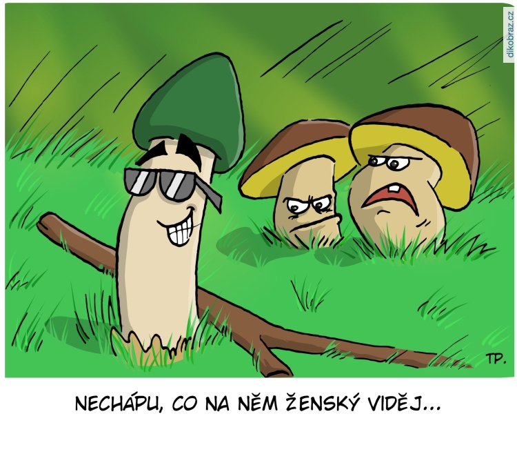 Tom Pekárek vtipy č. - 