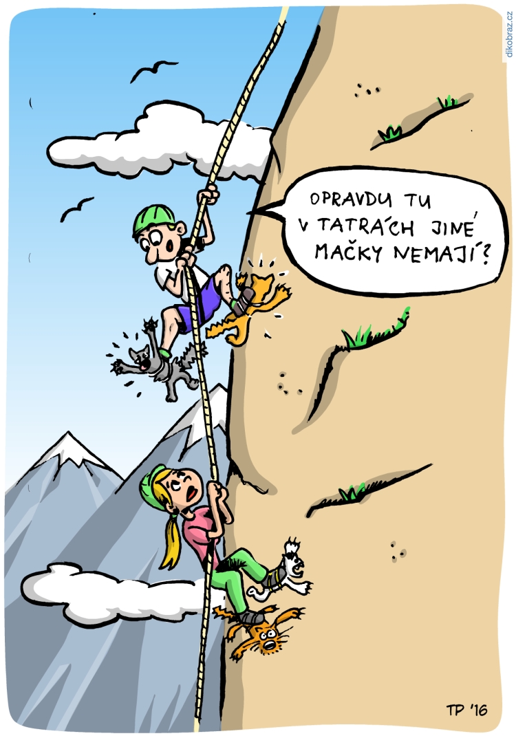 Tom Pekárek vtipy č.7769 - 