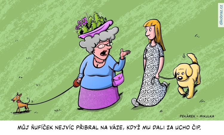Tom Pekárek, Jiří Mikulka vtipy č.26831 -