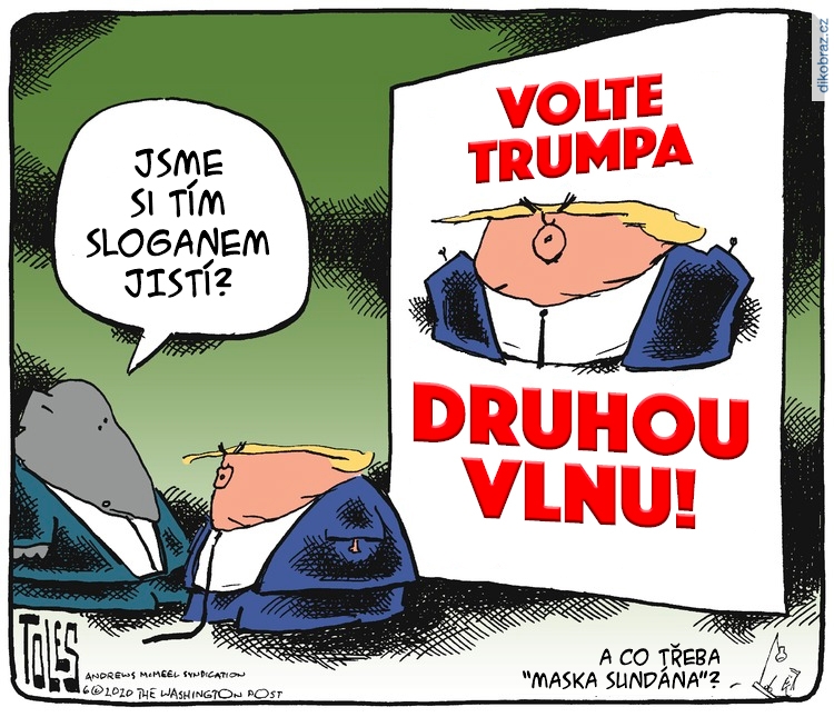 Tom Toles vtipy č.9272 - Americké volby 2020