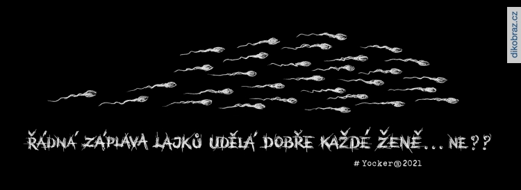 Tomáš Kopka vtipy č.35806 - 