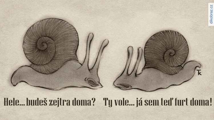 Tomáš Kopka vtipy č.35936 - 