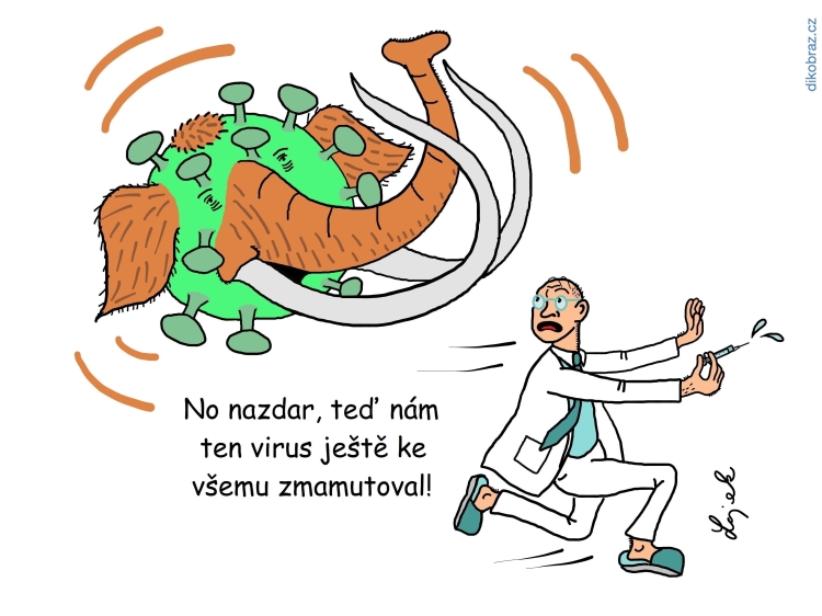 Tomáš Lojek vtipy č.30434 - 