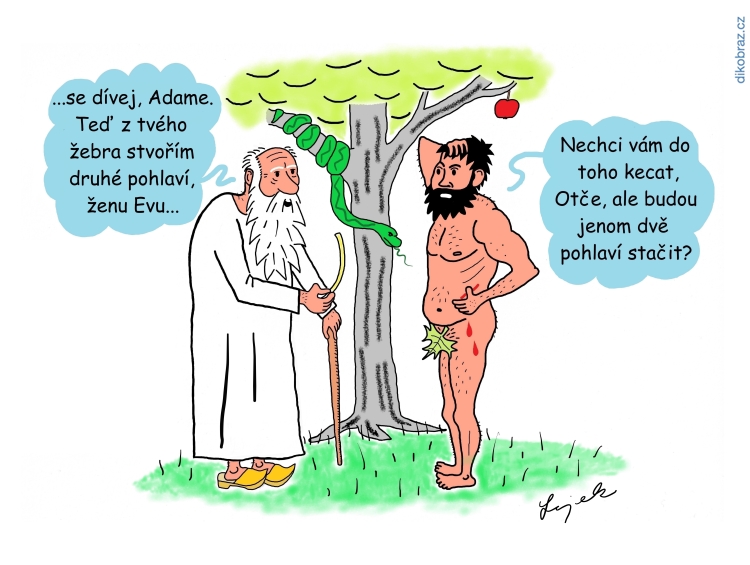 Tomáš Lojek vtipy č.25214 - 