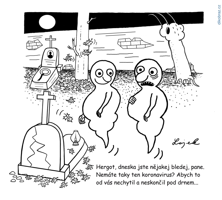 Tomáš Lojek vtipy č.19763 - 