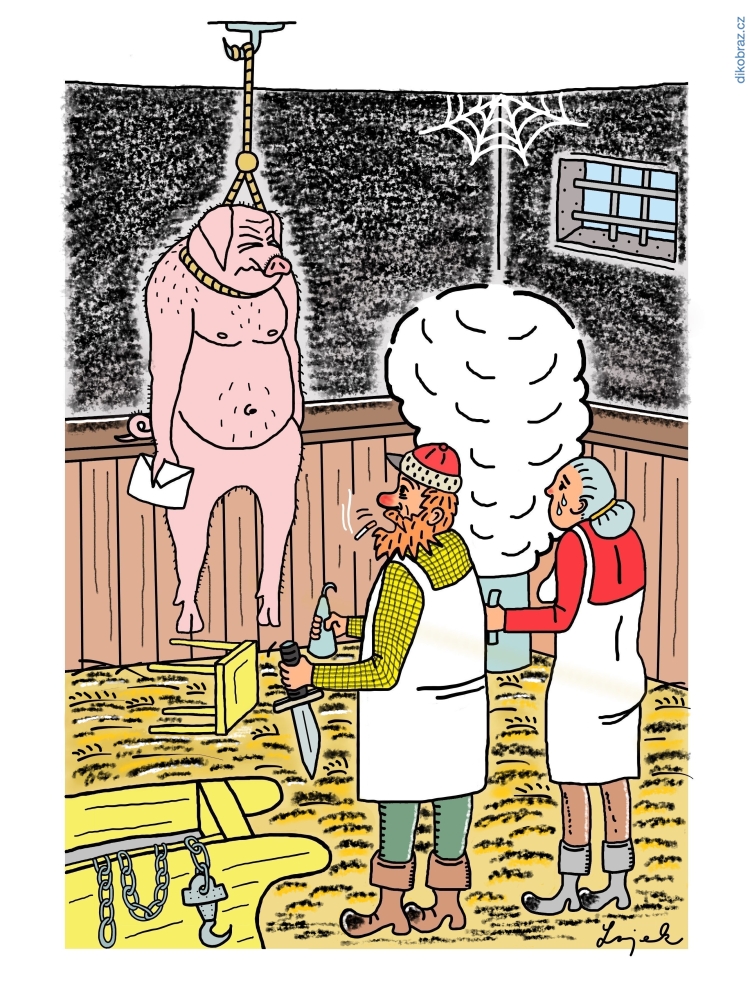 Tomáš Lojek vtipy č.27272 - 