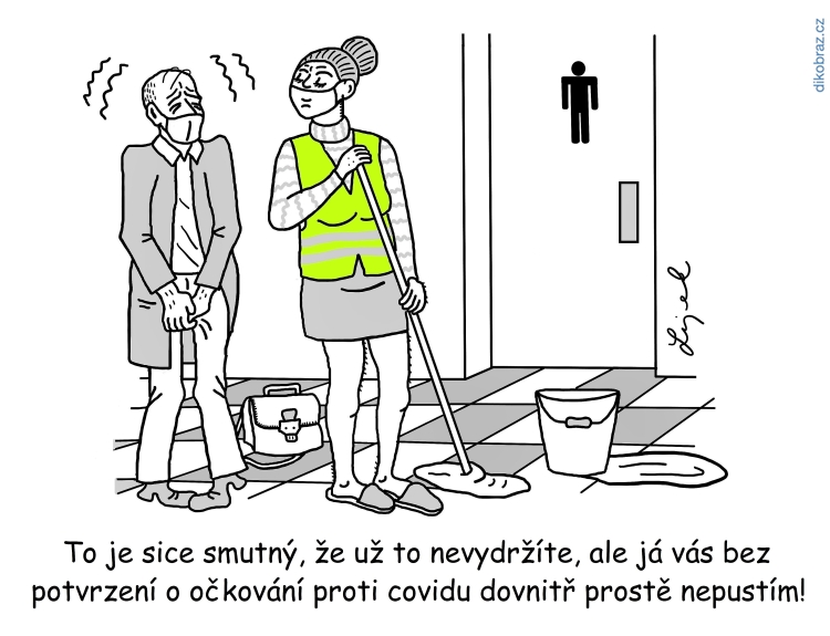 Tomáš Lojek vtipy č.33584 - 