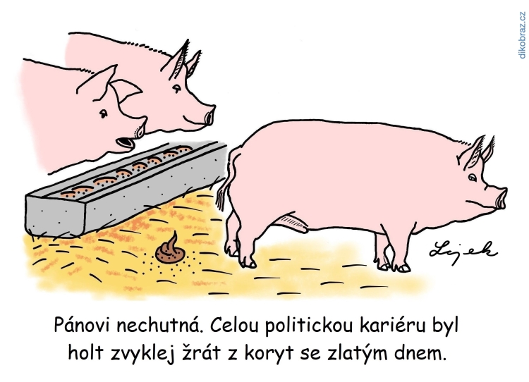 Tomáš Lojek vtipy č.26689 - 