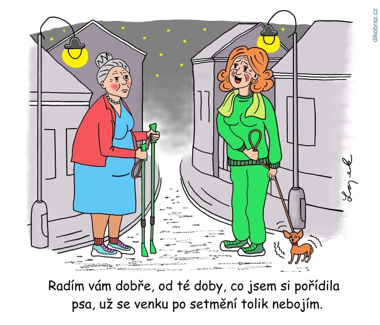 Tomáš Lojek vtipy č.41304 - 