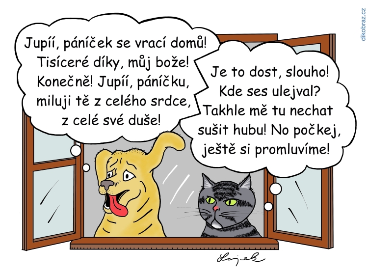 Tomáš Lojek vtipy č.34371 - 