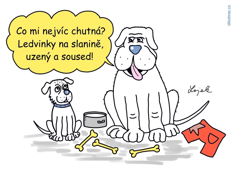 Tomáš Lojek vtipy č.46749 - 
