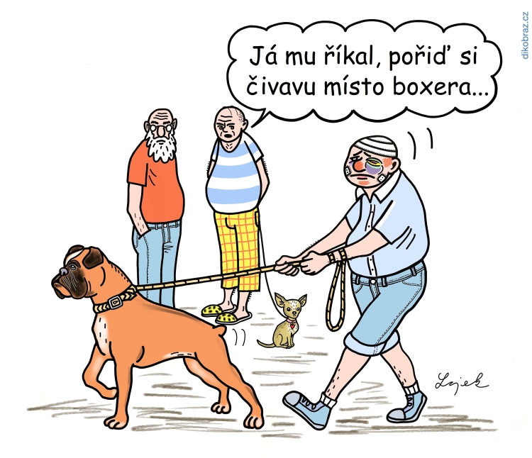 Tomáš Lojek vtipy č.48836 - 