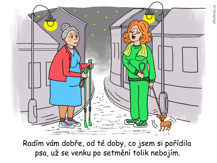 Tomáš Lojek vtipy č.41304 - 