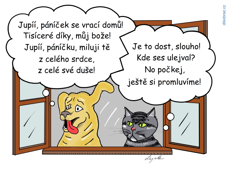 Tomáš Lojek vtipy č.34371 - 