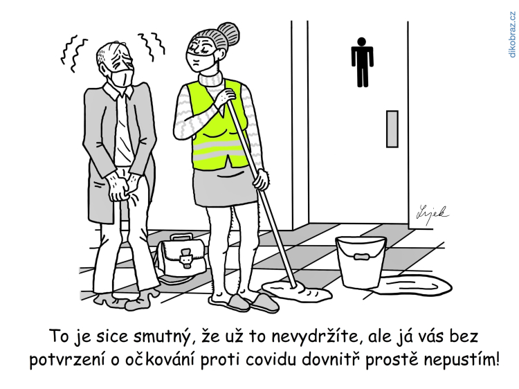 Tomáš Lojek vtipy č.33584 - 