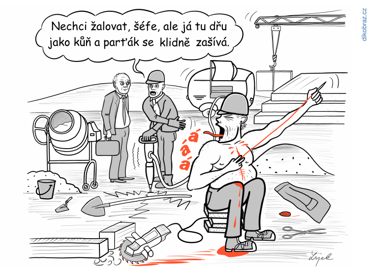 Tomáš Lojek vtipy č.23147 - 