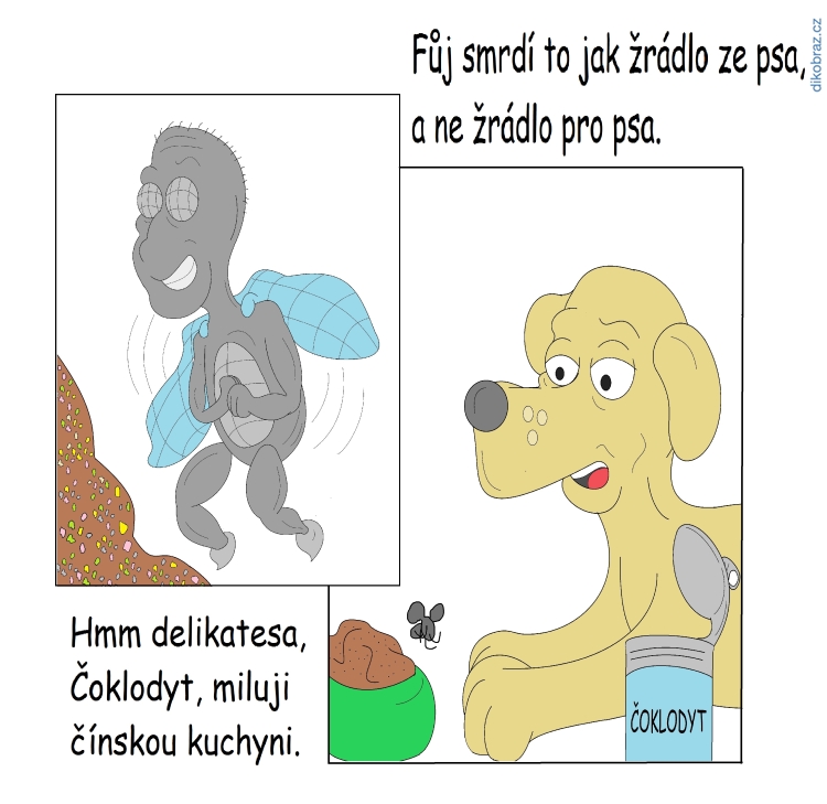 Tomsimas vtipy č.26483 - 