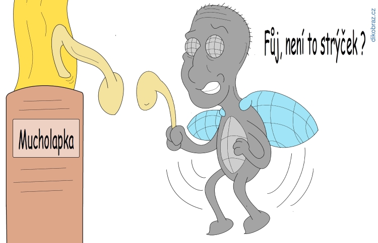 Tomsimas vtipy č.27025 - 