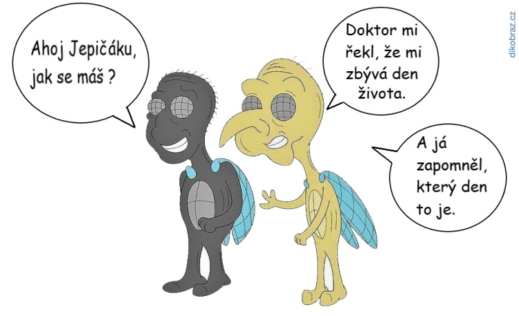 Tomsimas vtipy č.28649 - 