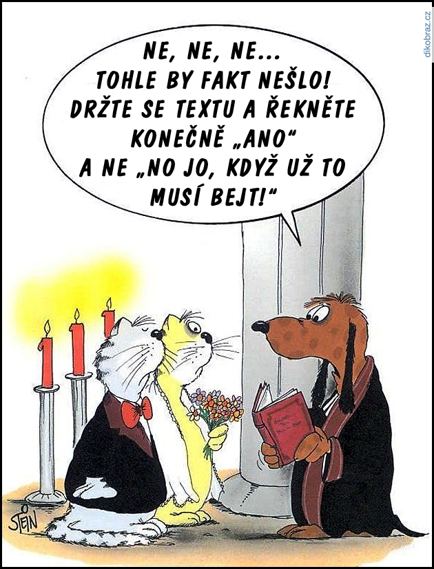 Uli Stein vtipy č.103717 - 