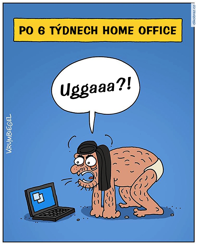 Uwe Krumbiegel vtipy č.51088 - 