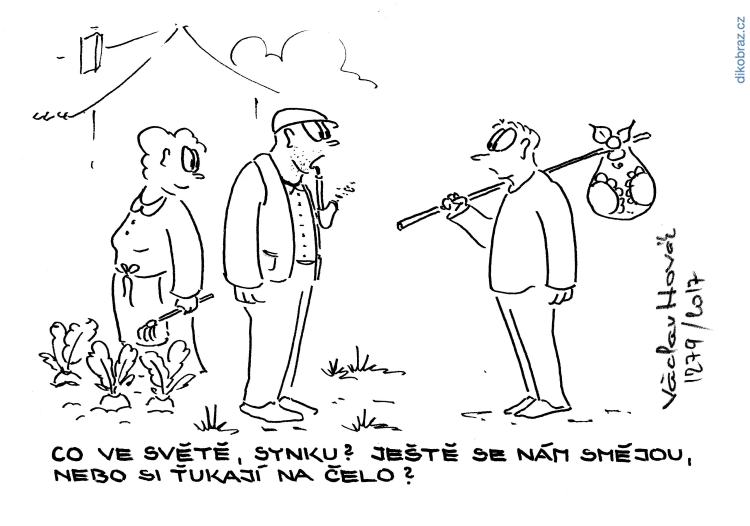 Václav Novák vtipy č. - Domácí politika 2017