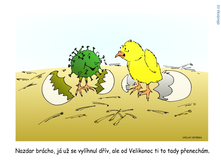 Václav Veverka vtipy č.8361 - Koronavirus