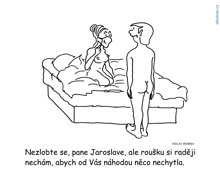 Václav Veverka vtipy č.8696 - Povinné nošení roušek