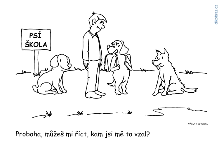 Václav Veverka vtipy č. - 