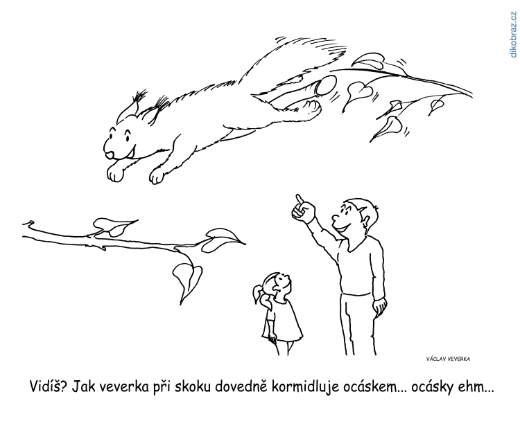 Václav Veverka vtipy č.9241 - 