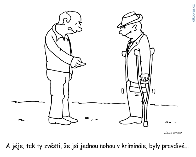 Václav Veverka vtipy č.9318 - Domácí politika 2020