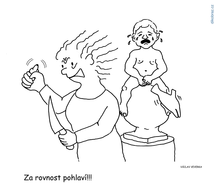 Václav Veverka vtipy č.9505 - Domácí politika 2020