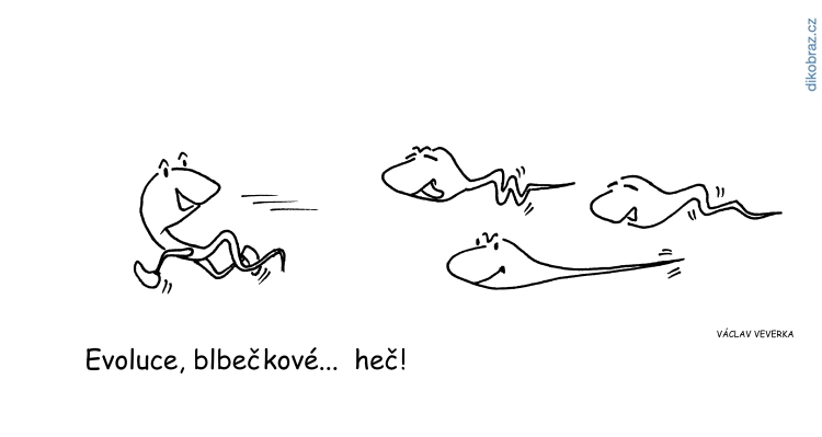 Václav Veverka vtipy č.10198 - 