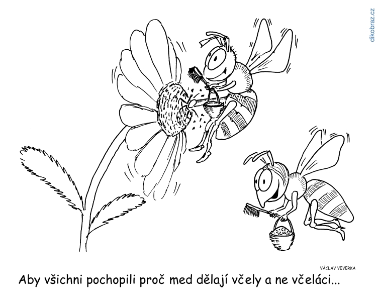 Václav Veverka vtipy č.15602 - 