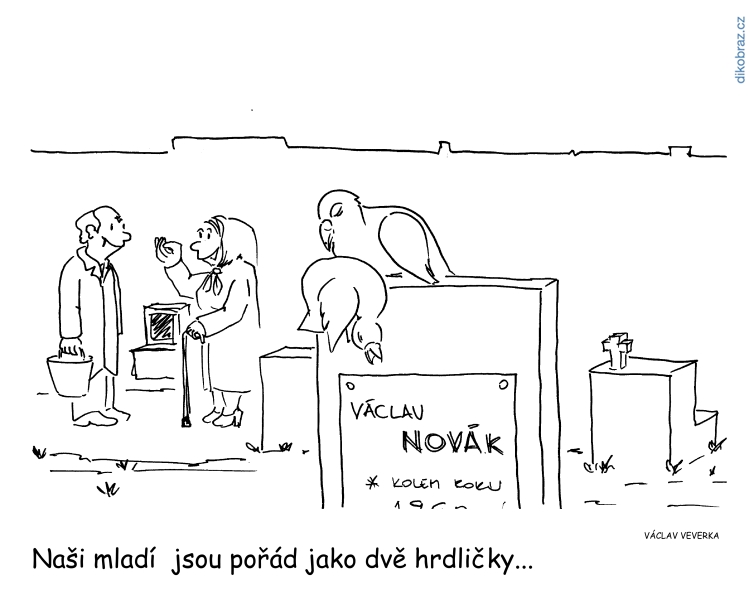 Václav Veverka vtipy č.36214 - 