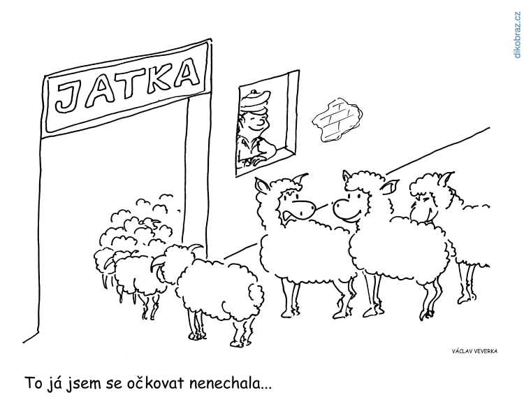 Václav Veverka vtipy č.38616 -