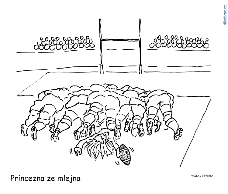 Václav Veverka vtipy č.41029 - 