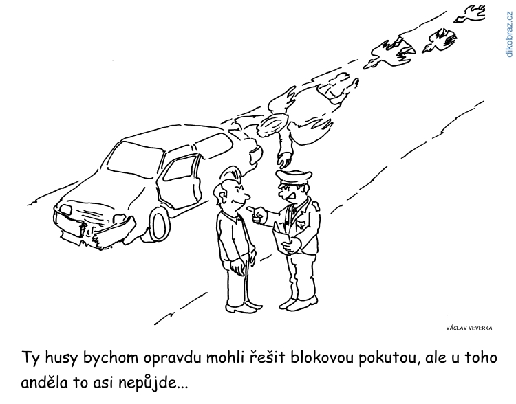 Václav Veverka vtipy č.41591 -
