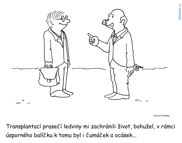 Václav Veverka vtipy č.42911 - 