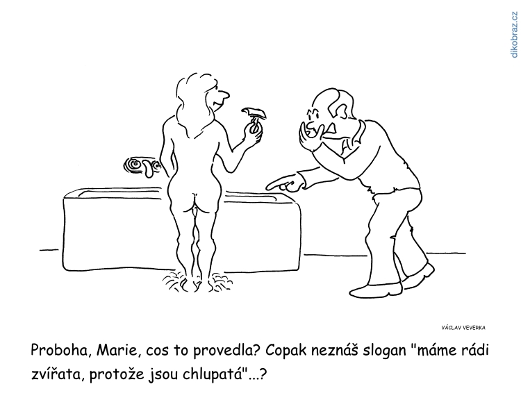 Václav Veverka vtipy č.44192 - 