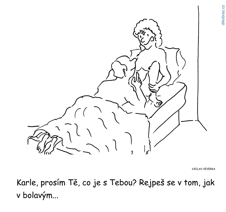 Václav Veverka vtipy č.44940 - 