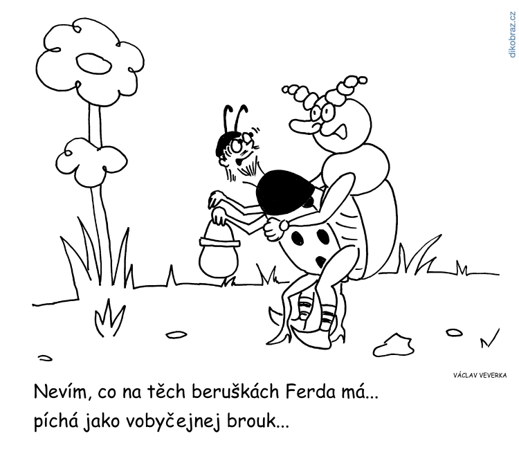 Václav Veverka vtipy č.45855 - 