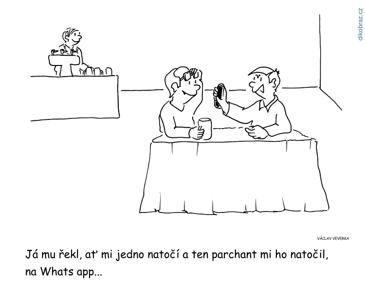Václav Veverka vtipy č.46222 - 