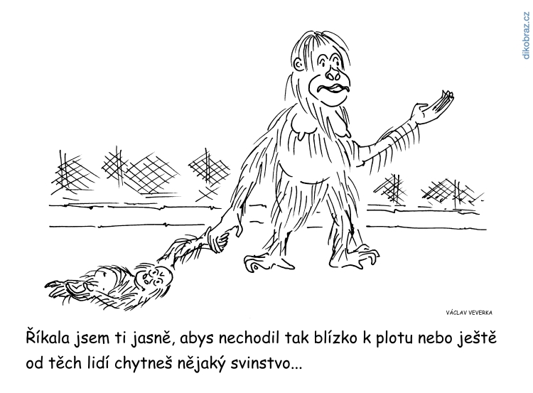 Václav Veverka vtipy č.46628 - Opičí neštovice