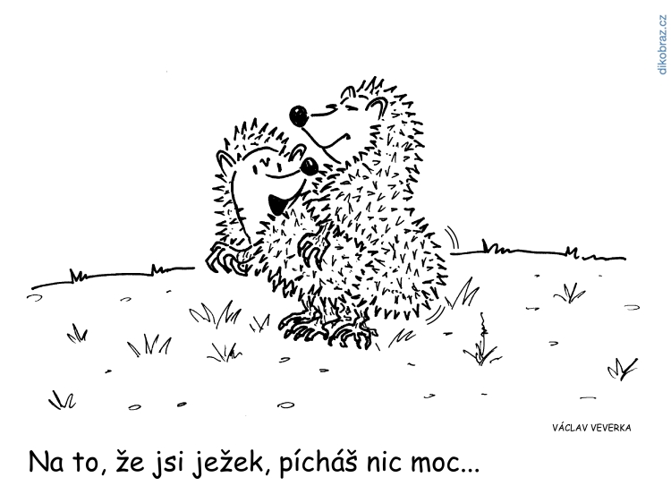 Václav Veverka vtipy č.46751 - 
