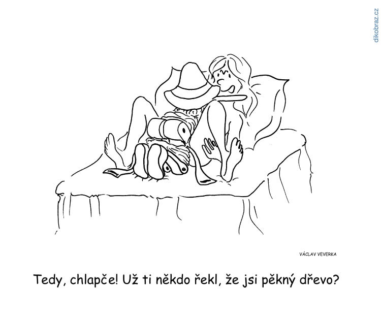Václav Veverka vtipy č.47813 - 