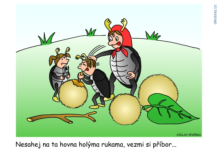 Václav Veverka vtipy č.48280 - 